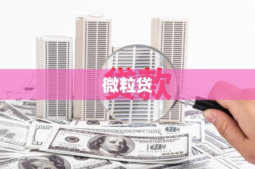 修水微粒贷