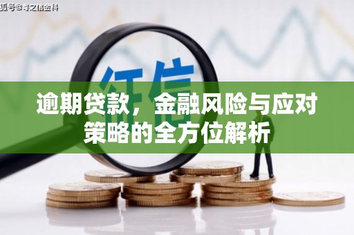 修水逾期贷款，金融风险与应对策略的全方位解析