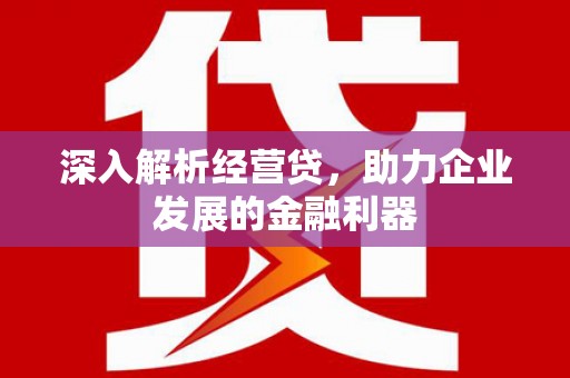 修水深入解析经营贷，助力企业发展的金融利器