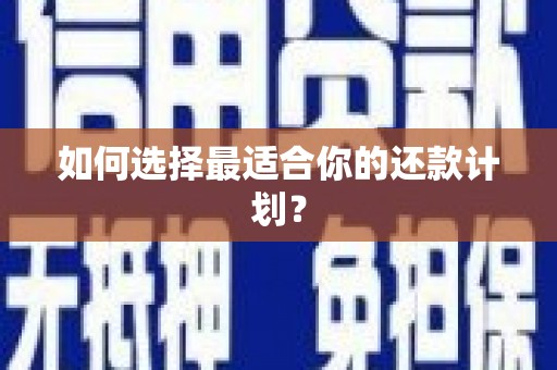 修水如何选择最适合你的还款计划？