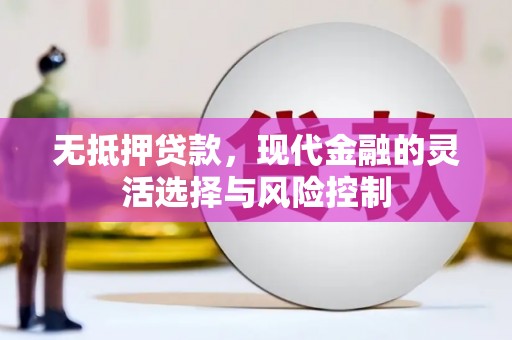 修水无抵押贷款，现代金融的灵活选择与风险控制