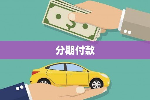 修水分期付款
