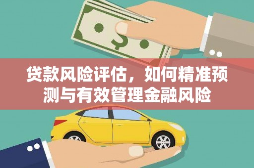 修水贷款风险评估，如何精准预测与有效管理金融风险