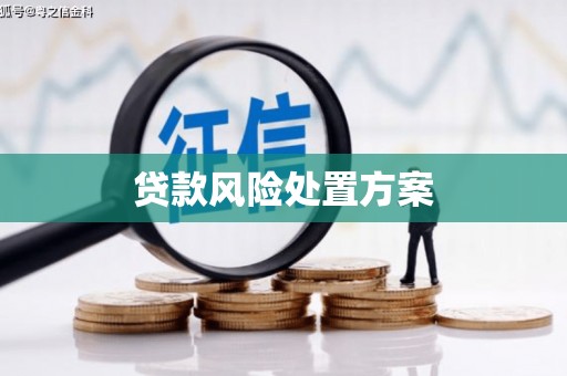 修水贷款风险处置方案