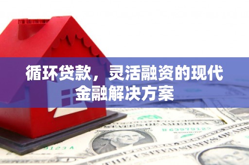 修水循环贷款，灵活融资的现代金融解决方案