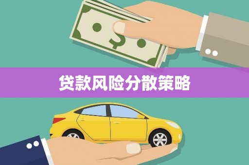 修水贷款风险分散策略