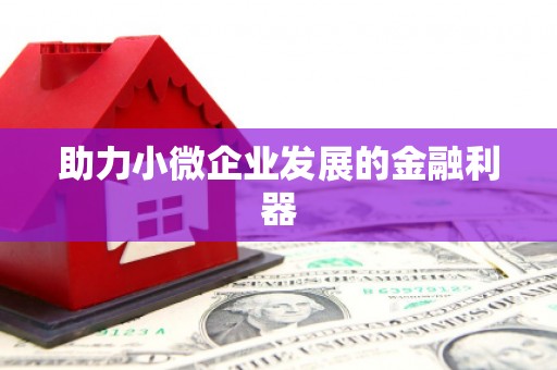 修水助力小微企业发展的金融利器