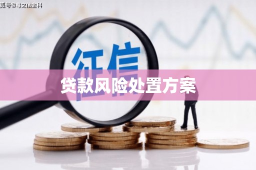 修水贷款风险处置方案