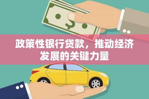 修水政策性银行贷款，推动经济发展的关键力量