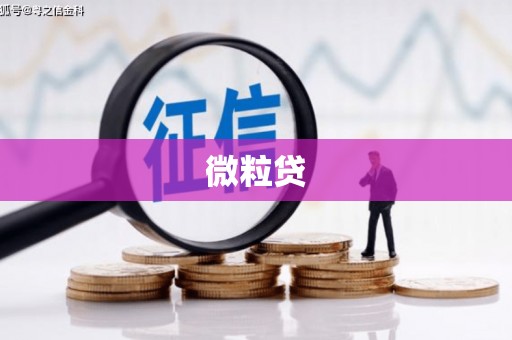 修水微粒贷