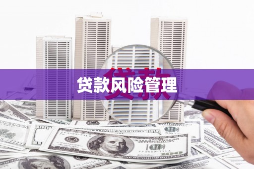 修水贷款风险管理