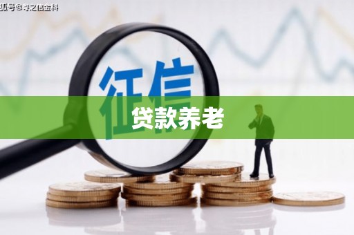 修水贷款养老