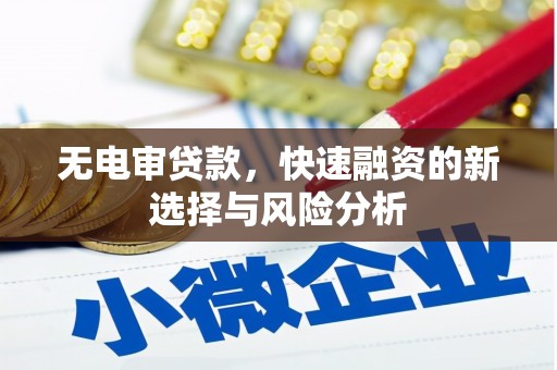 修水无电审贷款，快速融资的新选择与风险分析