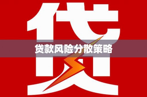 修水贷款风险分散策略