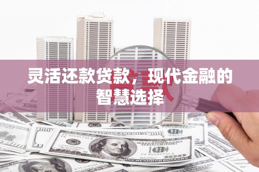 修水灵活还款贷款，现代金融的智慧选择