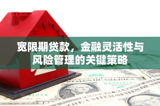 修水宽限期贷款，金融灵活性与风险管理的关键策略