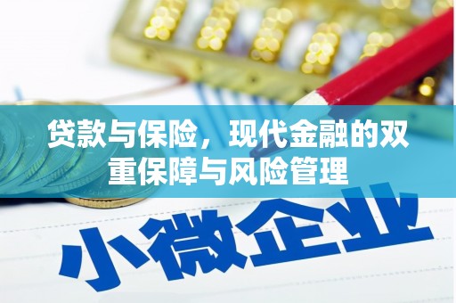 修水贷款与保险，现代金融的双重保障与风险管理