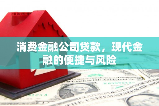 修水消费金融公司贷款，现代金融的便捷与风险