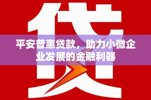 修水平安普惠贷款，助力小微企业发展的金融利器