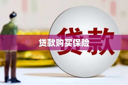 修水贷款购买保险