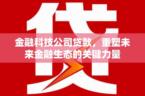 修水金融科技公司贷款，重塑未来金融生态的关键力量