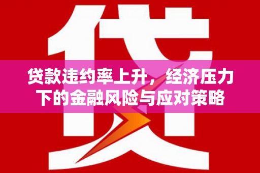 修水贷款违约率上升，经济压力下的金融风险与应对策略