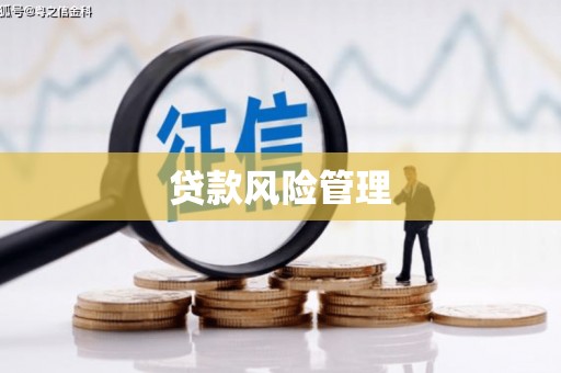 修水贷款风险管理