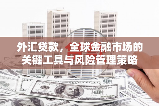 修水外汇贷款，全球金融市场的关键工具与风险管理策略