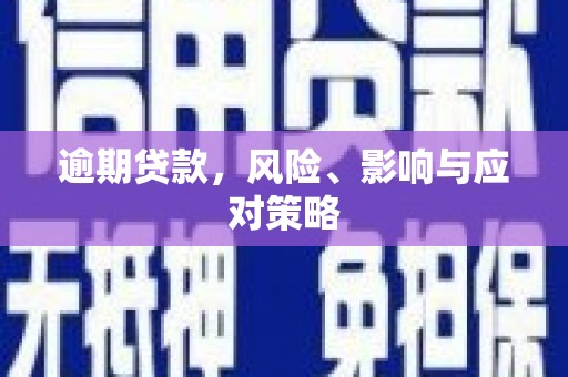 修水逾期贷款，风险、影响与应对策略
