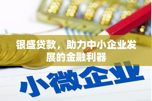 修水银盛贷款，助力中小企业发展的金融利器