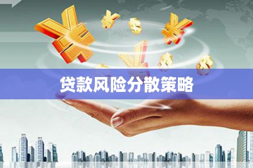 修水贷款风险分散策略
