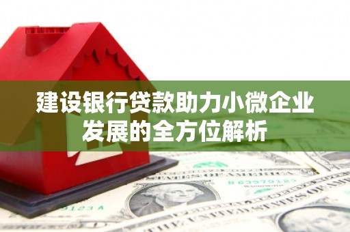 修水建设银行贷款助力小微企业发展的全方位解析