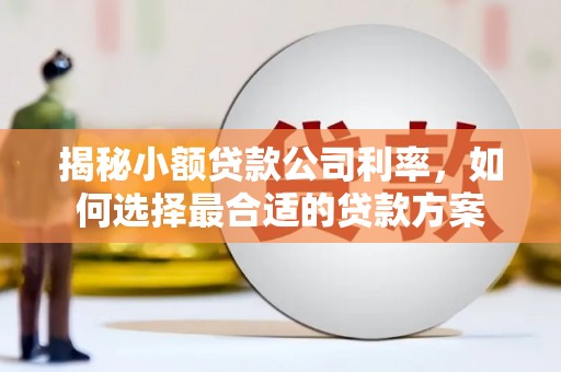修水揭秘小额贷款公司利率，如何选择最合适的贷款方案
