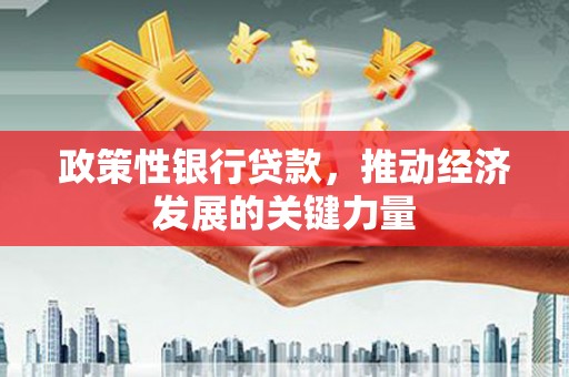 修水政策性银行贷款，推动经济发展的关键力量