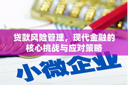 修水贷款风险管理，现代金融的核心挑战与应对策略
