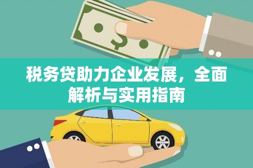 修水税务贷助力企业发展，全面解析与实用指南