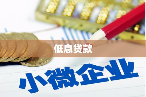 修水低息贷款