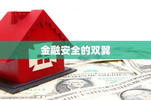 修水金融安全的双翼