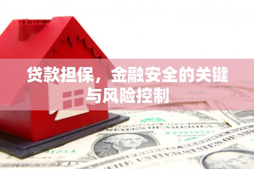 修水贷款担保，金融安全的关键与风险控制
