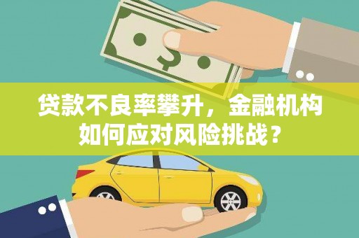 修水贷款不良率攀升，金融机构如何应对风险挑战？