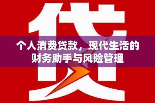 修水个人消费贷款，现代生活的财务助手与风险管理