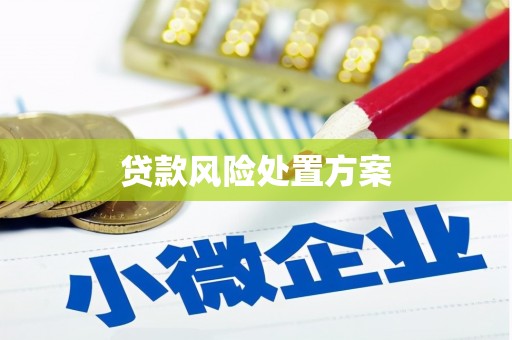修水贷款风险处置方案