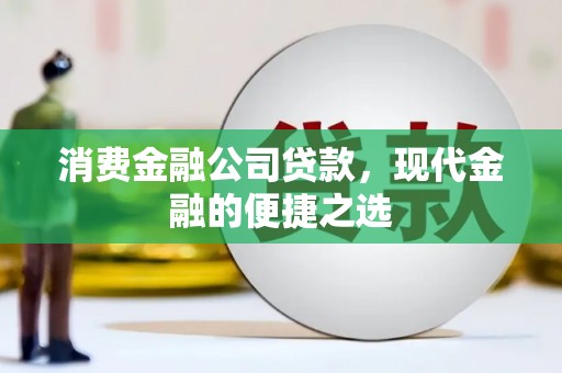修水消费金融公司贷款，现代金融的便捷之选