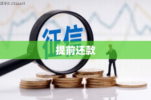 修水提前还款