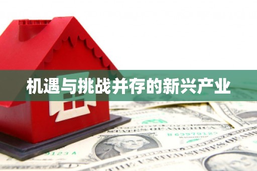 修水机遇与挑战并存的新兴产业