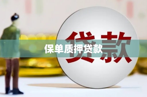 修水保单质押贷款