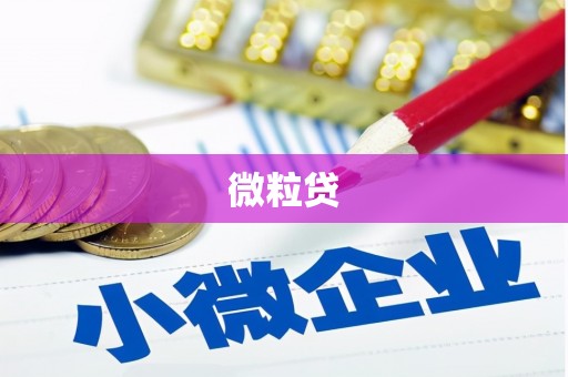 修水微粒贷