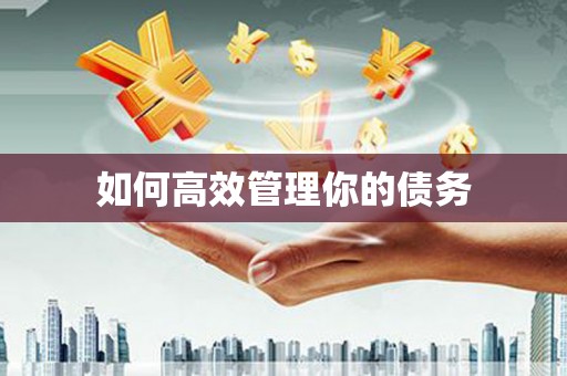 修水如何高效管理你的债务