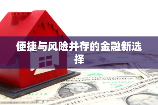 修水便捷与风险并存的金融新选择