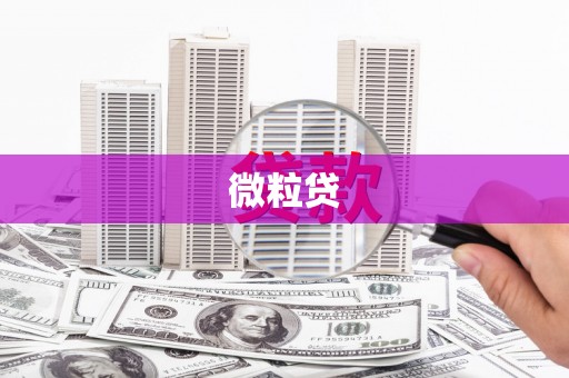 修水微粒贷